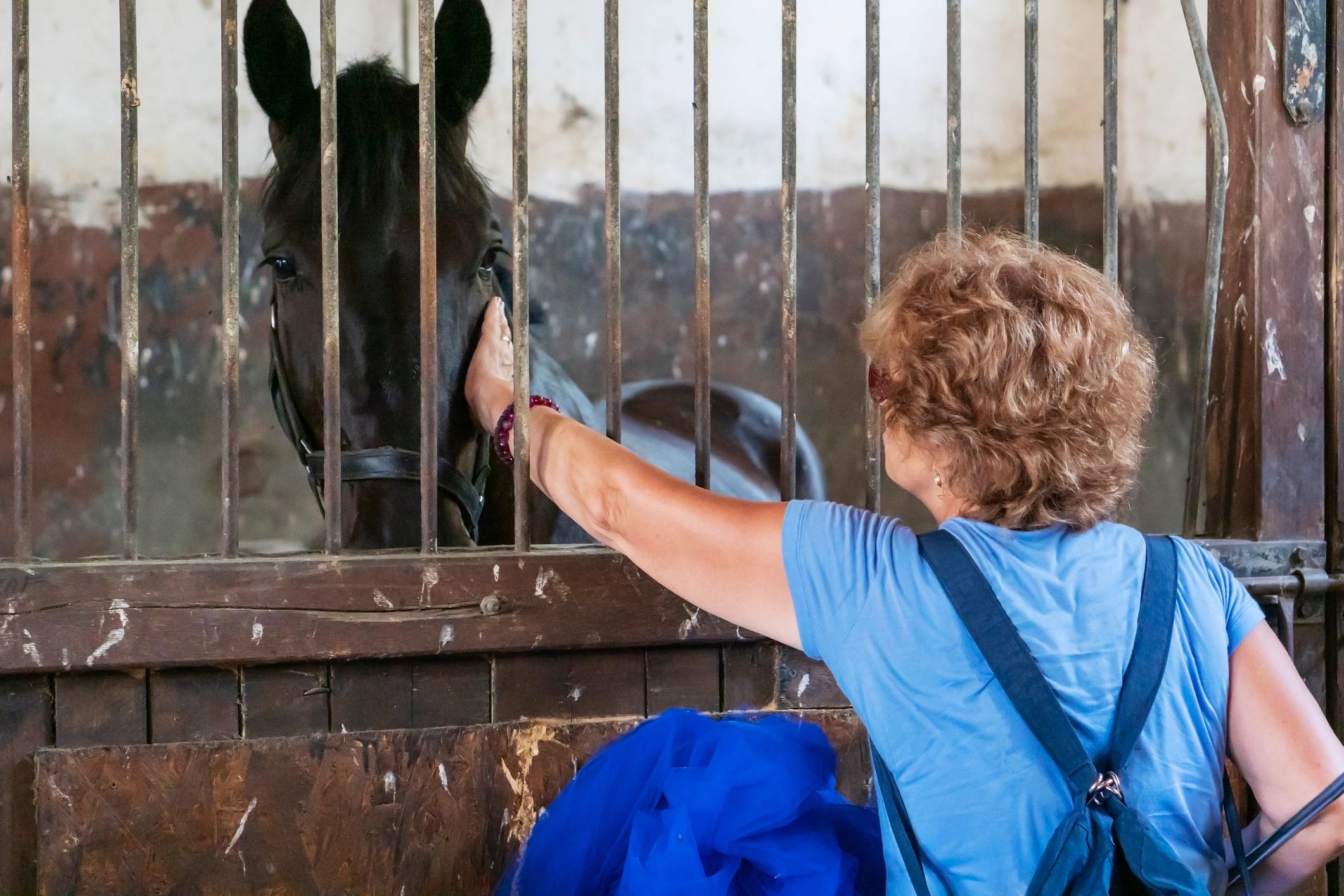 Woman gently caressing a horse in a stable