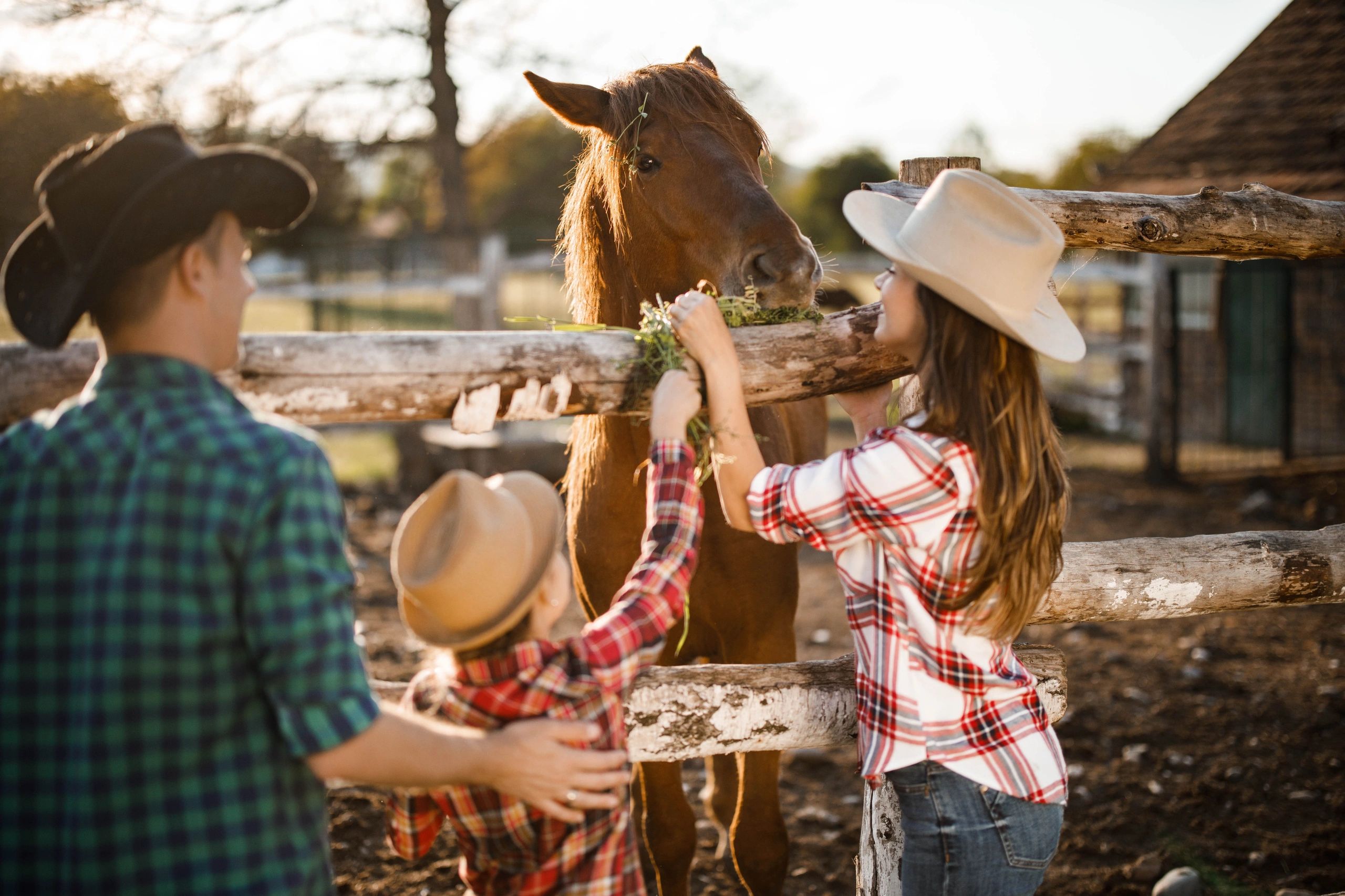 Volunteer feeding a horse on a ranch