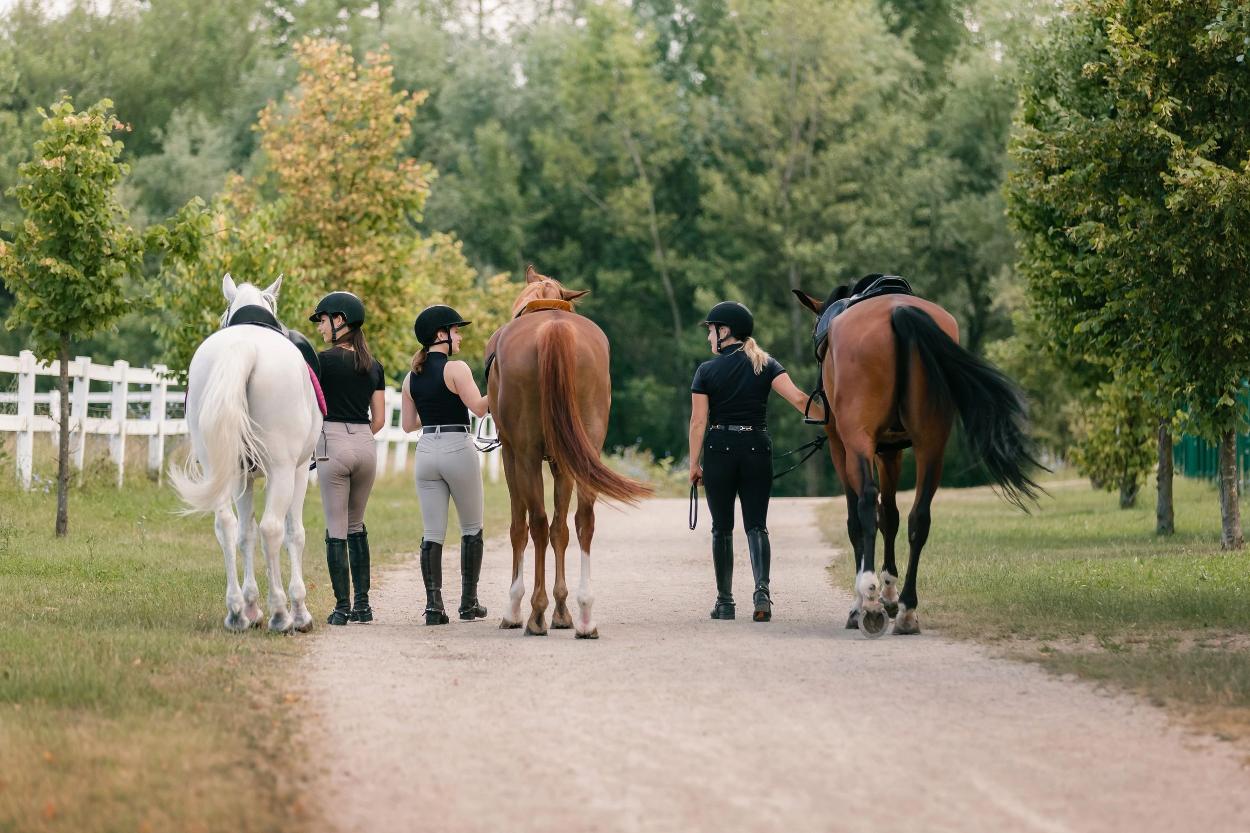 Rider leading a saddled horse