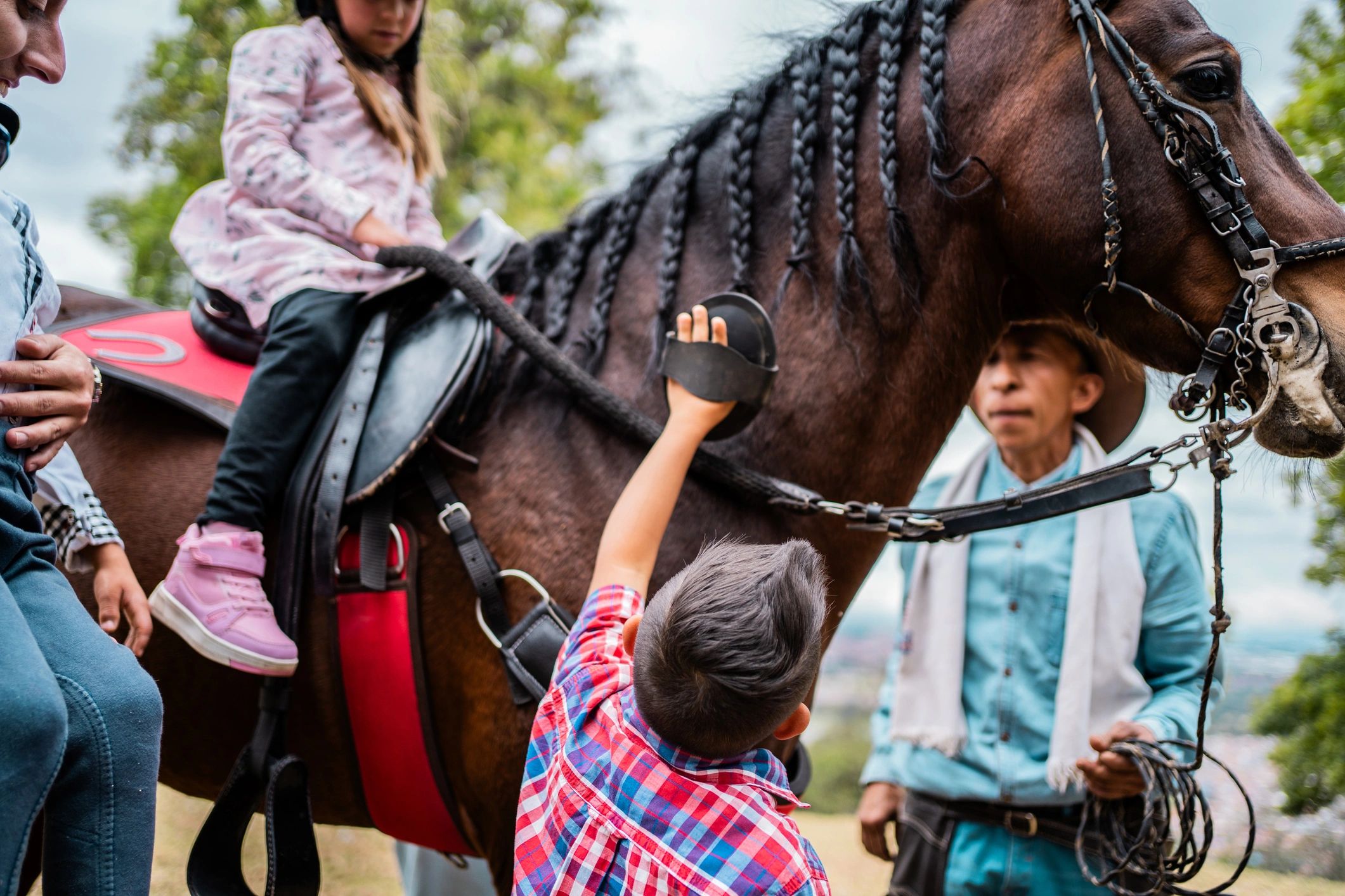 Child grooming a horse outdoors