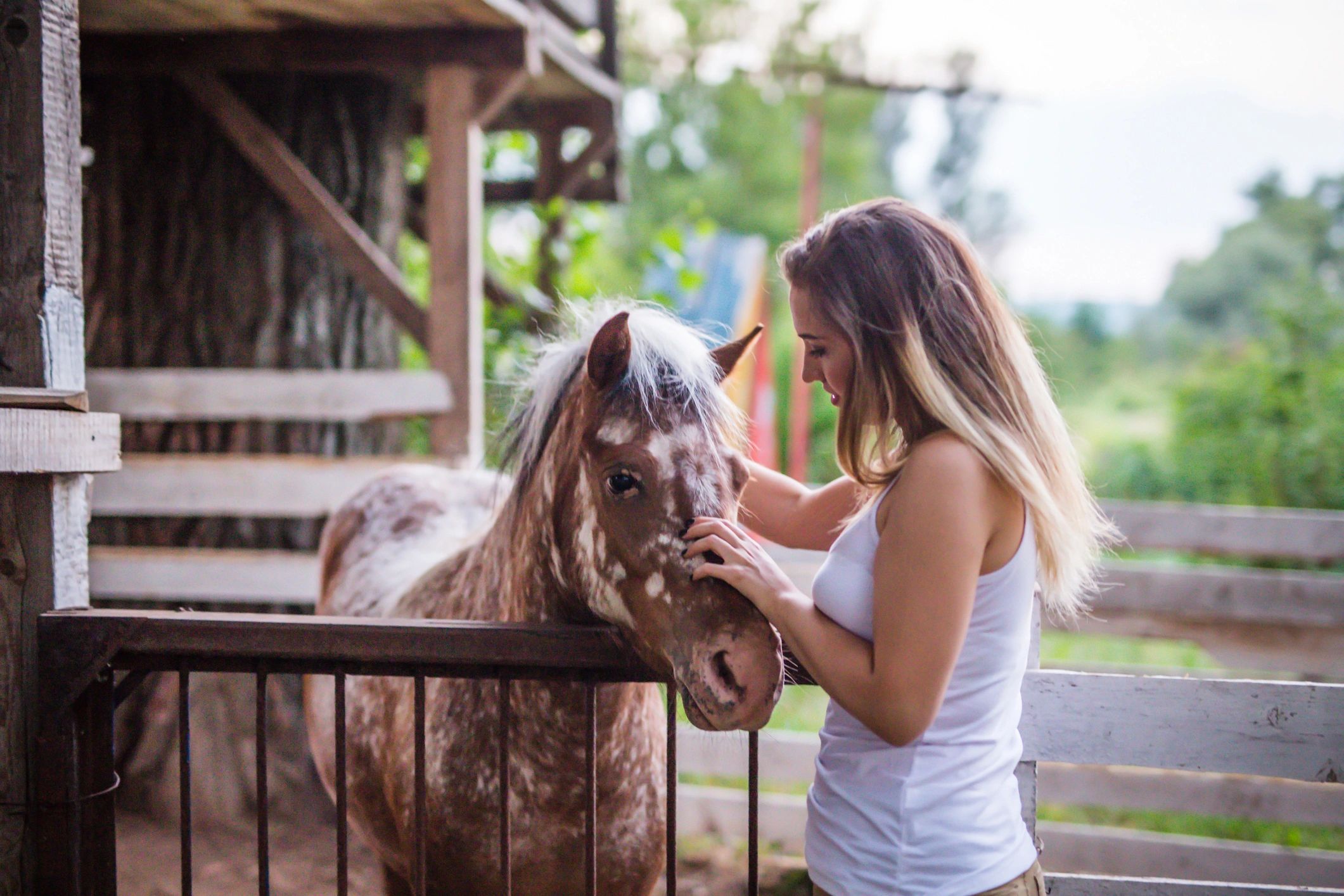 Pony with owner representing equine care lead placeholder